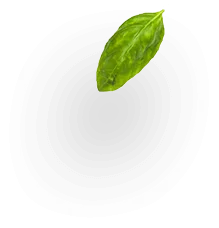 oregano liść - składniki wielu dań